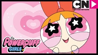 Día de San Valentín ❤️️  Las Chicas Superpoderosas  Cartoon Network [upl. by Eniaral]