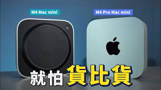 Mac mini 對比測試：M4 vs M4 Pro 兩倍的價格，值得嗎？｜彼得森 [upl. by Gillie546]