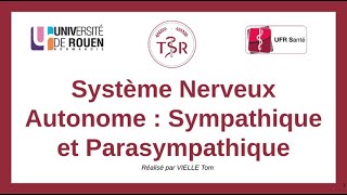 Physiologie Le SNA Sympathique et Parasympathique [upl. by Eirok]