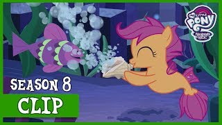 The World Of The Seaponies Surf andor Turf  MLP FiM HD [upl. by Redleh]