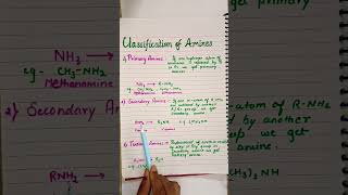 Amines Organic Chemistry 12th video 1 chemistry ytshorts shortvideo [upl. by Mill70]