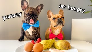 Hungry Dogs Reviewing Foods  Test 2 [upl. by Nealah914]