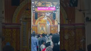 Manarcad st marys cathedral മാതാവിന്റെ ചായച്ചിത്രം [upl. by Ecirehc166]