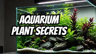 Top 21 Low Light Plants For Aquariums 🌿 [upl. by Asiulana505]