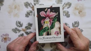 The Flower Oracle playingwithpairs oraclecards [upl. by Haimrej]