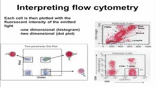 Flow Cytometry Verbsky [upl. by Norramic4]