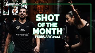 Squash Shots of the Month  February 2024 💥 [upl. by Alaster]