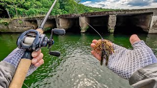 Catching GIANT Deep Summer Bass During Jon Boat Tournament [upl. by Emmet]