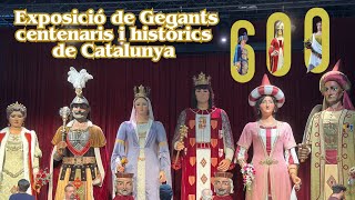 Exposició de Gegants centenaris i històrics de Catalunya 2024 [upl. by Siddra852]