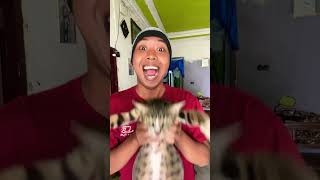 Kucing jelek marah 😂 [upl. by Irab65]