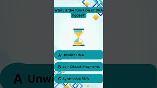 Biology Definition Challenge  DNA Replication 2 [upl. by Sullivan]