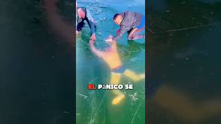 Él nada bajo el hielo pero🏊😱 trending youtubeshorts viralshorts [upl. by Ledarf]