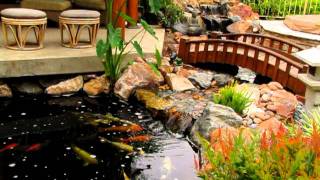 Traditional Japanese Koi Pond and Stream Landscape by San Diego Ponds [upl. by Eniac]