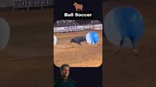 Bull vs Humans Bubble Soccer Chaos superman super shorts memes starman [upl. by Gelhar]