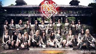 SNH48  Mad WorldKARAOKE伴奏 [upl. by Neeleuqcaj]