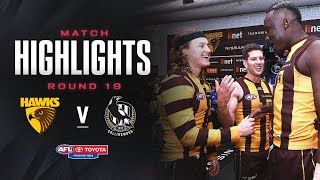 Hawthorn v Collingwood Highlights  Round 19 2024  AFL [upl. by Sternberg592]