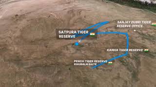 learn Madhya Pradesh tiger reserve names in 20sec 🐅💬 [upl. by Kwan129]