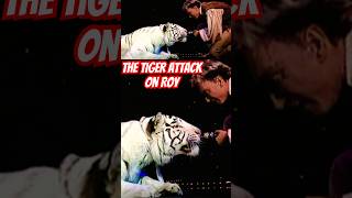 The Siegfried And Roy Incident whitetiger tiger shorts [upl. by Eseeryt]