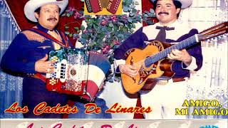 LOS CADETES DE LINARES CORRIDO DE ROGELIO GARZA [upl. by Aninnaig]