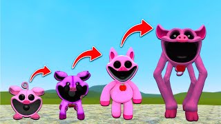 NEW Evolution OF Smiling Critters PIG Poppy Playtime Chapter 3 In Garrys Mod [upl. by Aliehs]