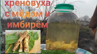 Хреновуха с мёдом и имбирём [upl. by Etteniotna]