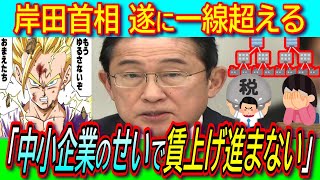 【超悲報】岸田首相「賃上げ進まないのは中小企業が価格転嫁しないから」政府の失策を責任転嫁し更なる物価高騰を要望【インボイス消費税減税経団連実質賃金】 [upl. by Suinotna238]