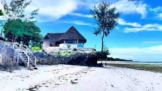 Quiet beautiful Jambiani beach Zanzibar [upl. by Gladine]