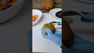 KIWI PEELING TRICK satisfying asmr trending fruit kiwi fruitcutting shortsfeed [upl. by Anadal]