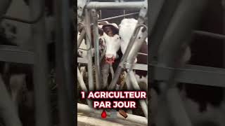 1 agriculteur tout les jours ⚰️🆘 sos agriculture élevage vache montbéliarde mort agriculteur [upl. by Bithia]