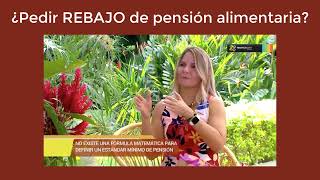 Pedir Rebajo de pensión alimentaria Costa Rica [upl. by Anaujit942]