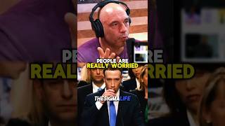 Rogan on Mark Zuckerberg Speaking Mandarin in China [upl. by Peyton]