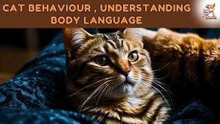 quotCat Behavior Understanding Body Language and Cues 🐱😺  pets cat catlover catbreed kitten [upl. by Kirenoj]