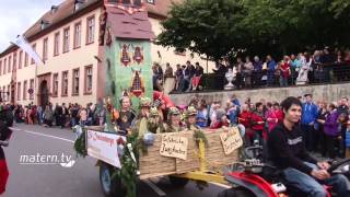 Bensheimer Winzerfestumzug 2015 [upl. by Lillywhite214]