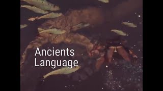 Assassins Creed Odyssey  Explore The Underwater Ruins  Language of The Ancients [upl. by Radley]