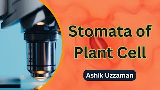 Stomata of Plant Cell  উদ্ভিদের পত্ররন্ধ্র  Ashik Uzzaman [upl. by Bramwell]