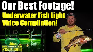 Fishing Light Highlight Video The Best of UnderwaterFishLightcom [upl. by Ainoyek]