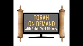 Torah on Demand Lech Lecha  The World Still Spins A Post Election Reflection [upl. by Collin]