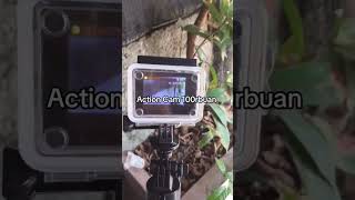 Kogan Action Cam 100rbuan [upl. by Iah]