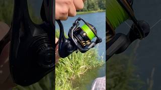 Carp fishing fishing fishingvideo рибалка angler fishinglife shorts youtube viralvideo [upl. by Alcus714]