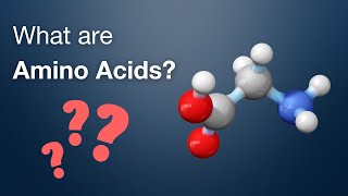 What are Amino Acids  Amino Acid Analysis 13  Biochrom [upl. by Holihs378]