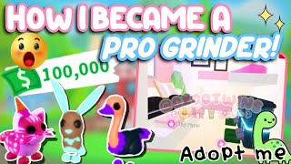 💞🤑How I Became A PRO GRINDER In A Day Adopt Me Its Cxco Twins [upl. by Lingwood]