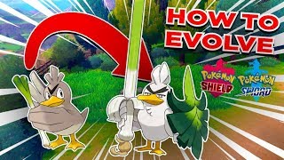 How To Evolve Galarian Farfetchd Into Sirfetchd In Pokemon Sword [upl. by Emmalynn]