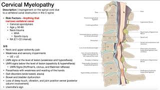 Cervical Myelopathy  Presentation Risk Factors amp SignsSymptoms [upl. by Harle]