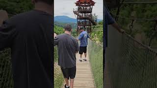 Gatlinburg skybridge gatlinburg skybridge gatlinburgtennessee williamssyndrome bridge [upl. by Trevlac176]