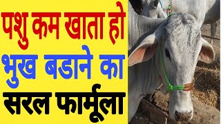 पशु की भूख कैसे बढाऐ।How To Increase Digestion Of Animal।Cow Buffalo।Dairy Farming Information hindi [upl. by Gypsy624]