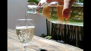 Homemade Sparkling Rice Wine [upl. by Joo92]