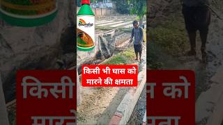 ख़तरनाक herbicide सावधानी से करें उपयोग [upl. by Aliuqat]