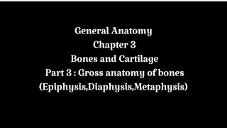 General Anatomy  Chapter 3  Bones and cartilage  Part 3  Diaphysis  Epiphysis  Metaphysis [upl. by Laehcim308]