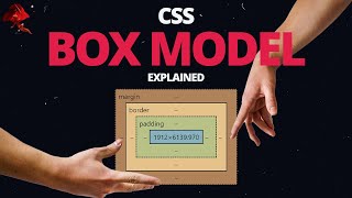 Learn CSS BOX MODEL  With Real World Examples [upl. by Nnairda]