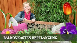 Balkonkasten Bepflanzung für den Frühling  Teil 2 Warme Farben [upl. by Geerts]